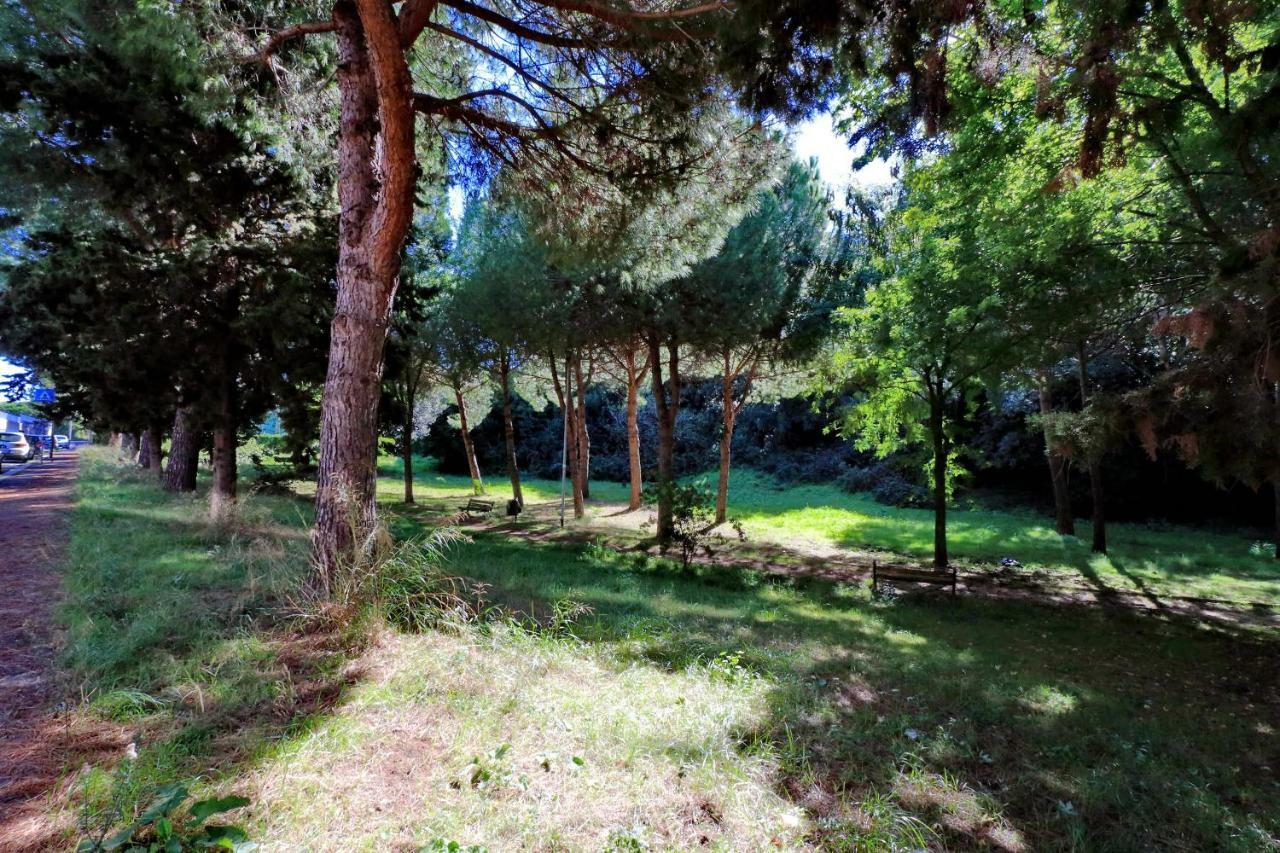 Aurelia Relax Apartment Рим Экстерьер фото